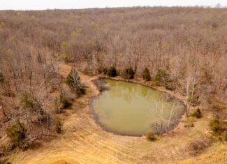 28.4+/- Acres in the Southern Missouri Ozarks for Sale