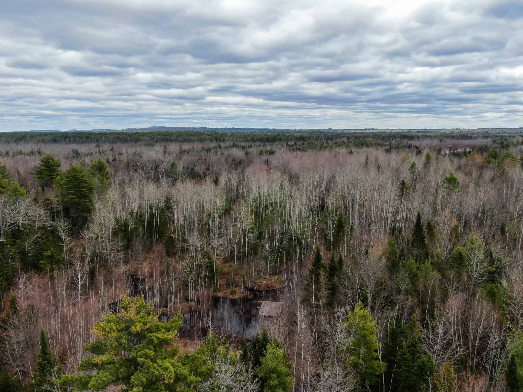 20+ Acres with Brook