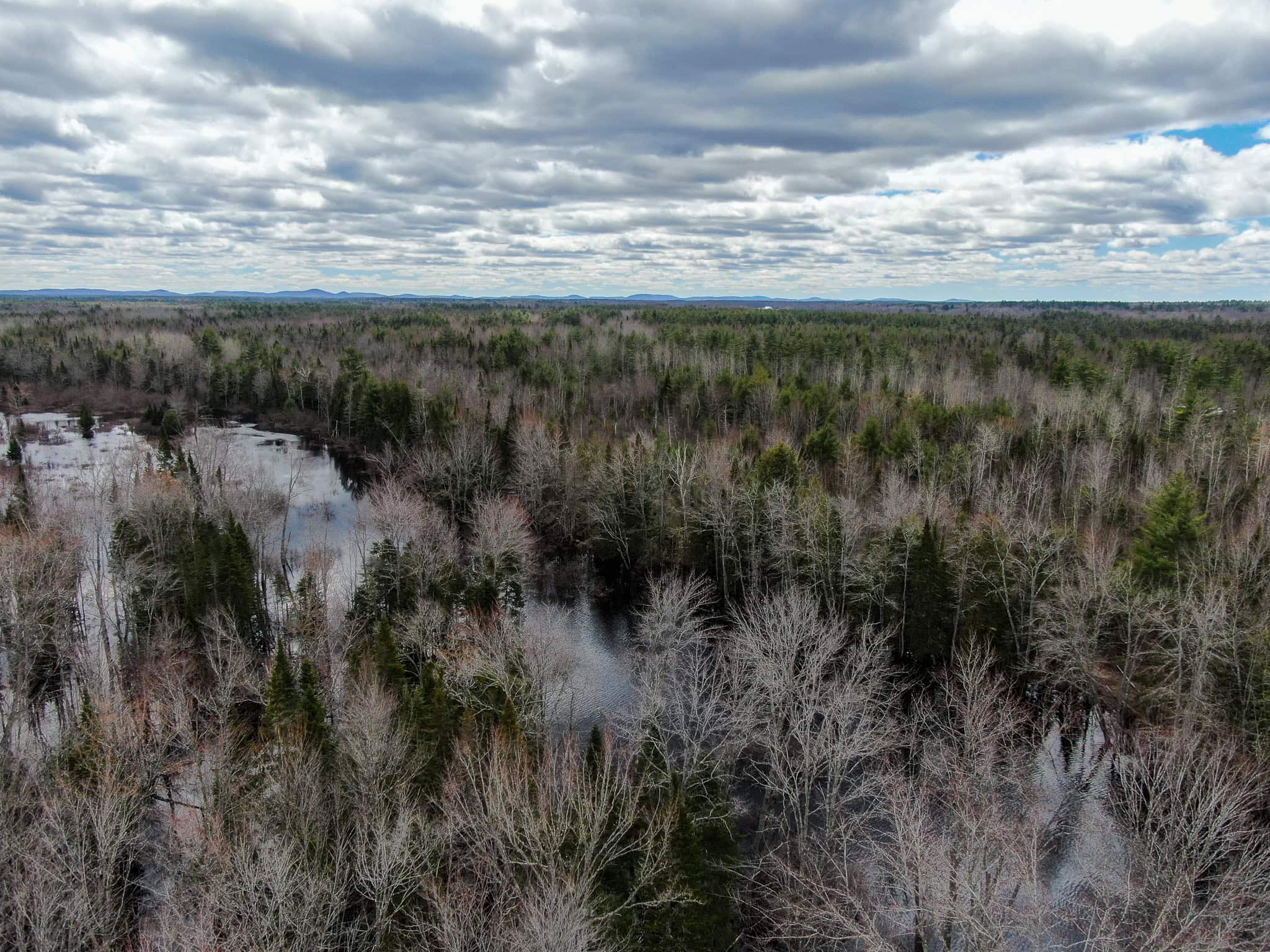 20+ Acres with Brook