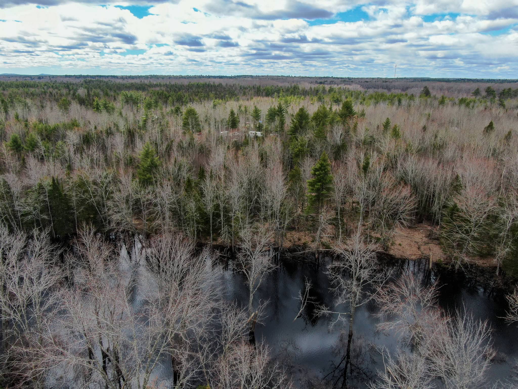 20+ Acres with Brook