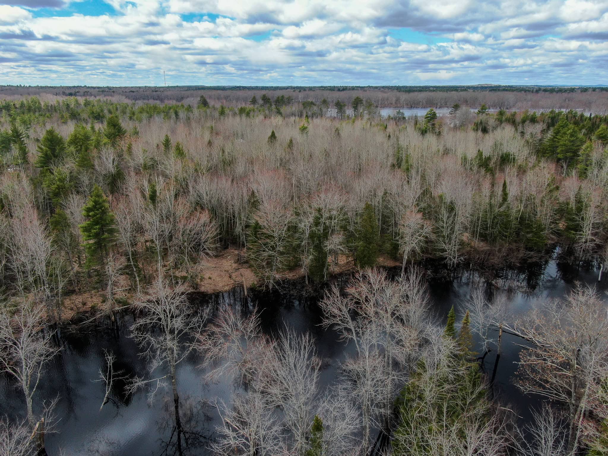 20+ Acres with Brook