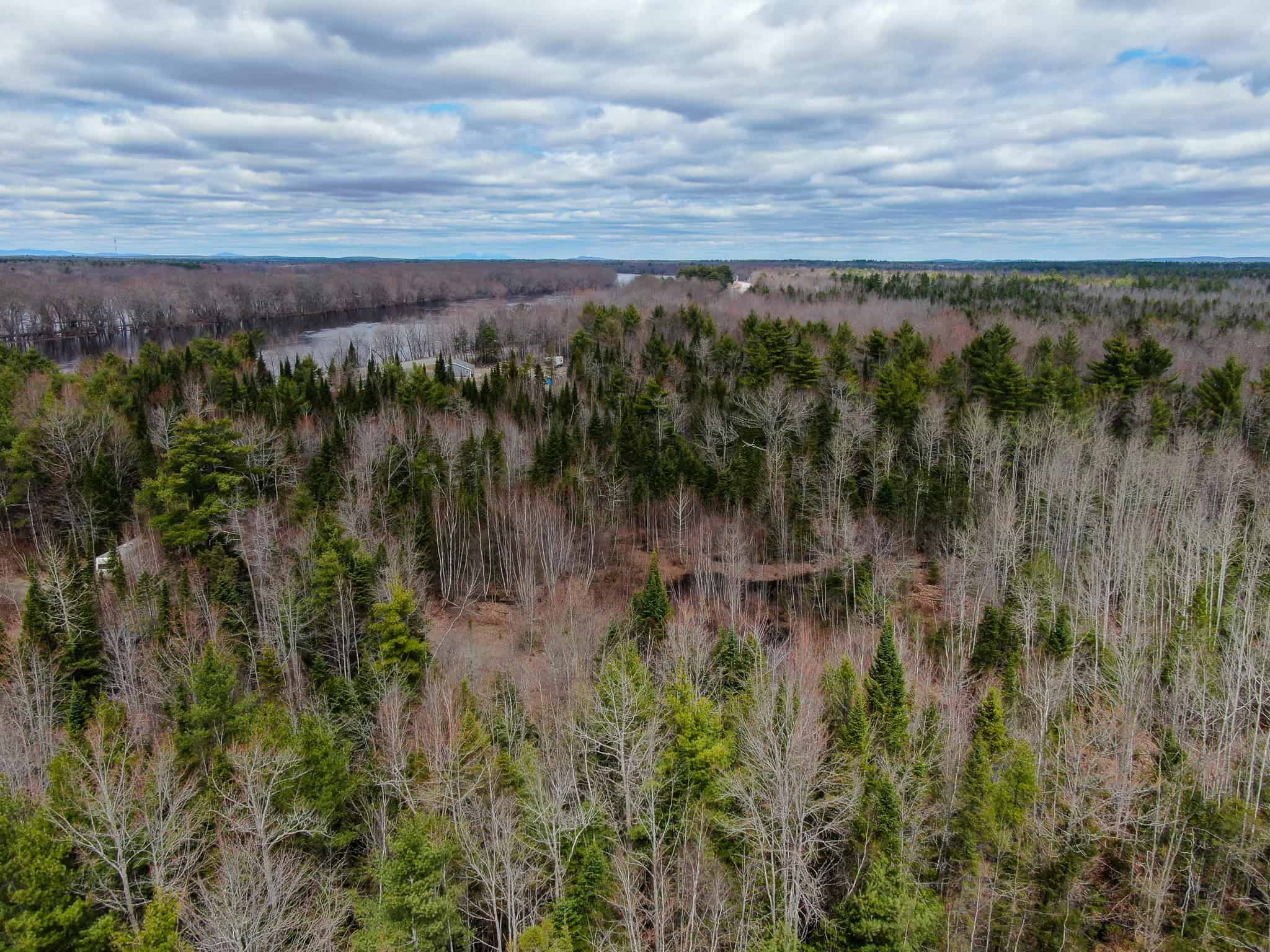 20+ Acres with Brook