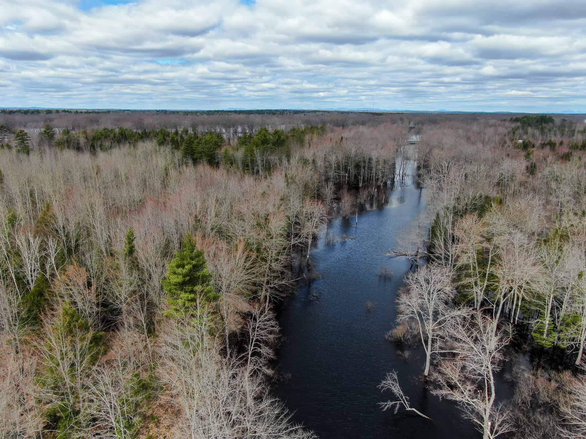 20+ Acres with Brook