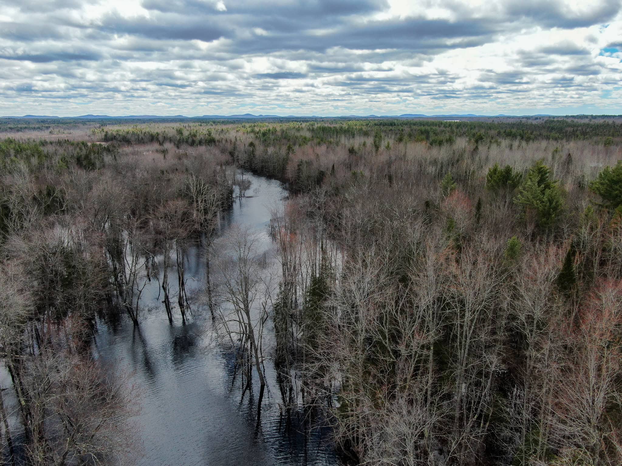 20+ Acres with Brook