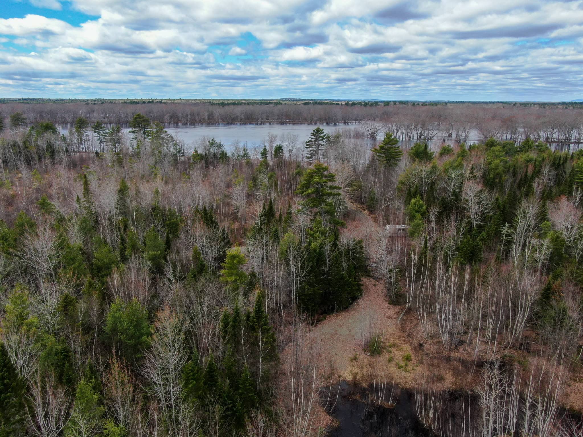 20+ Acres with Brook