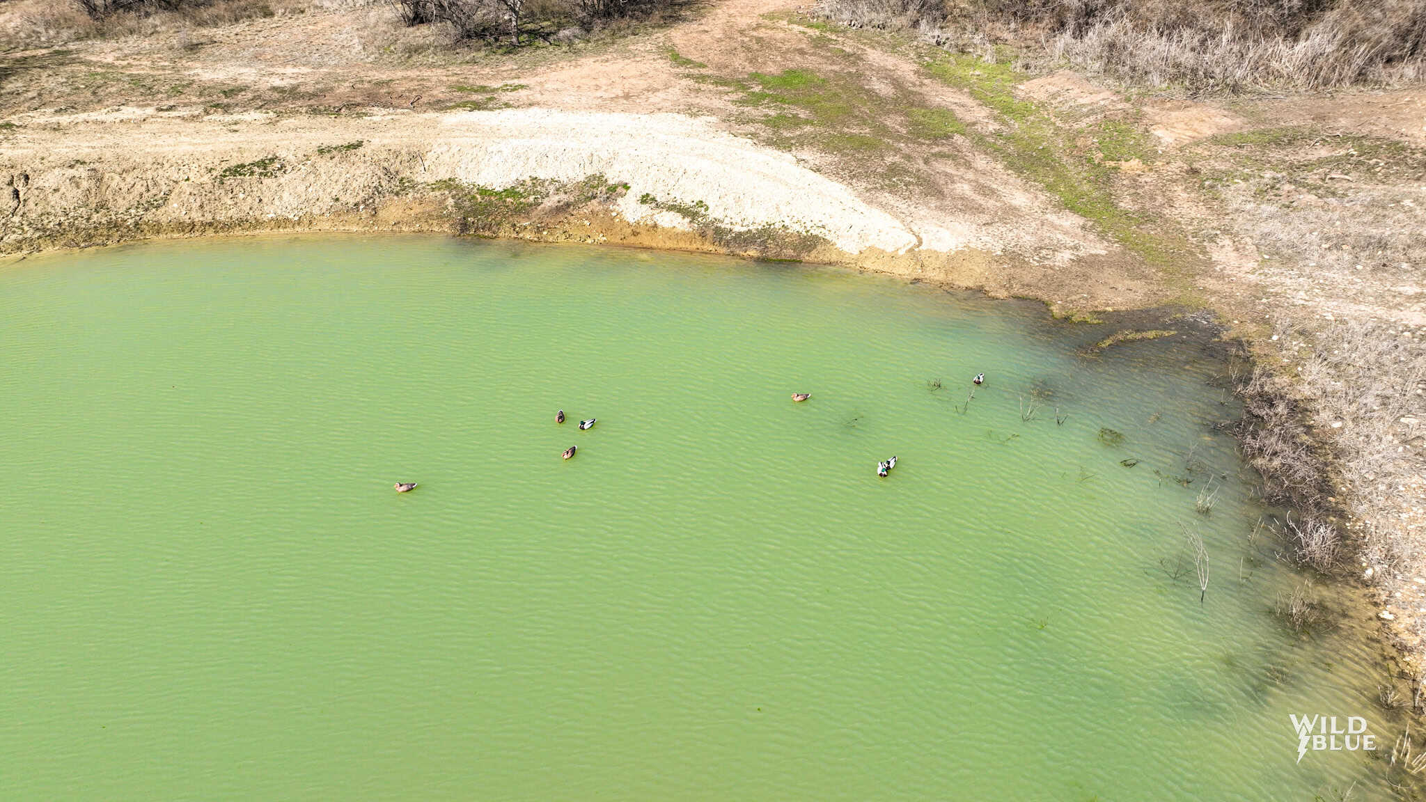 Turn Key Hunting and Recreational Property in Cisco, Texas!