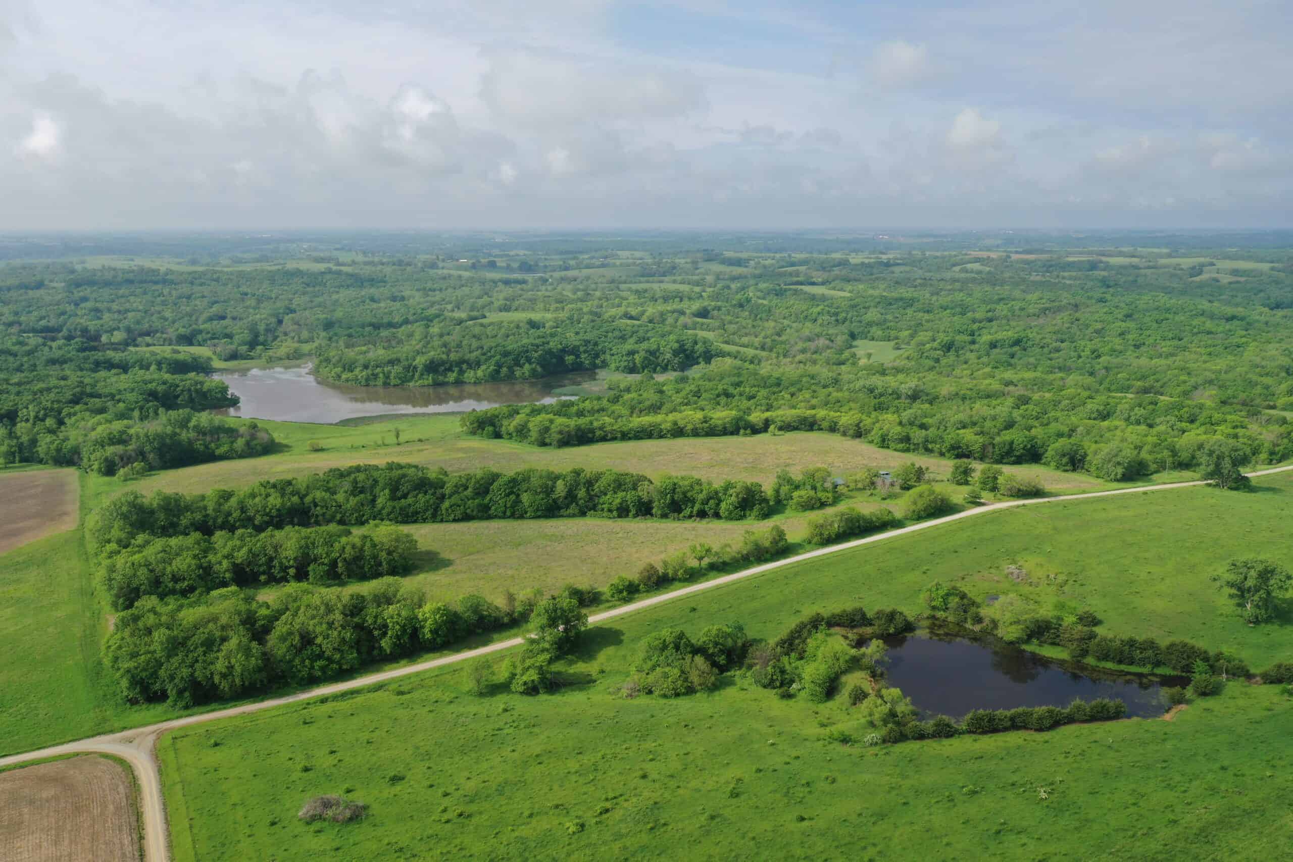 75 Acres m/l with Buildings/ Lake/ Income
