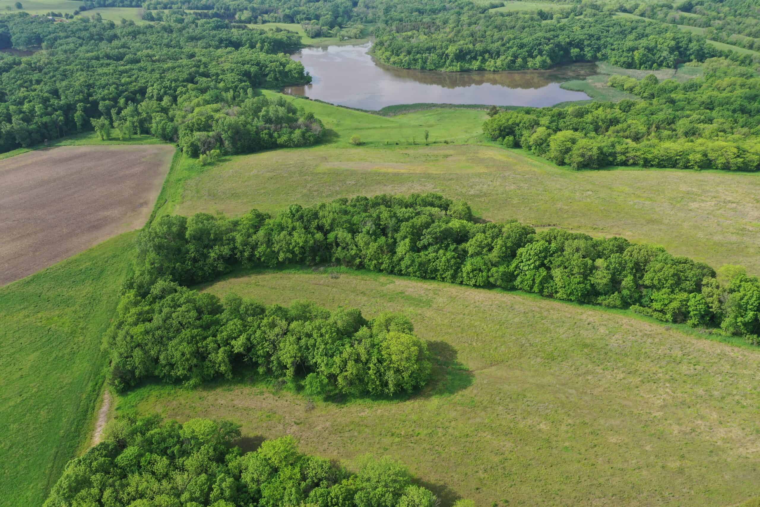 75 Acres m/l with Buildings/ Lake/ Income