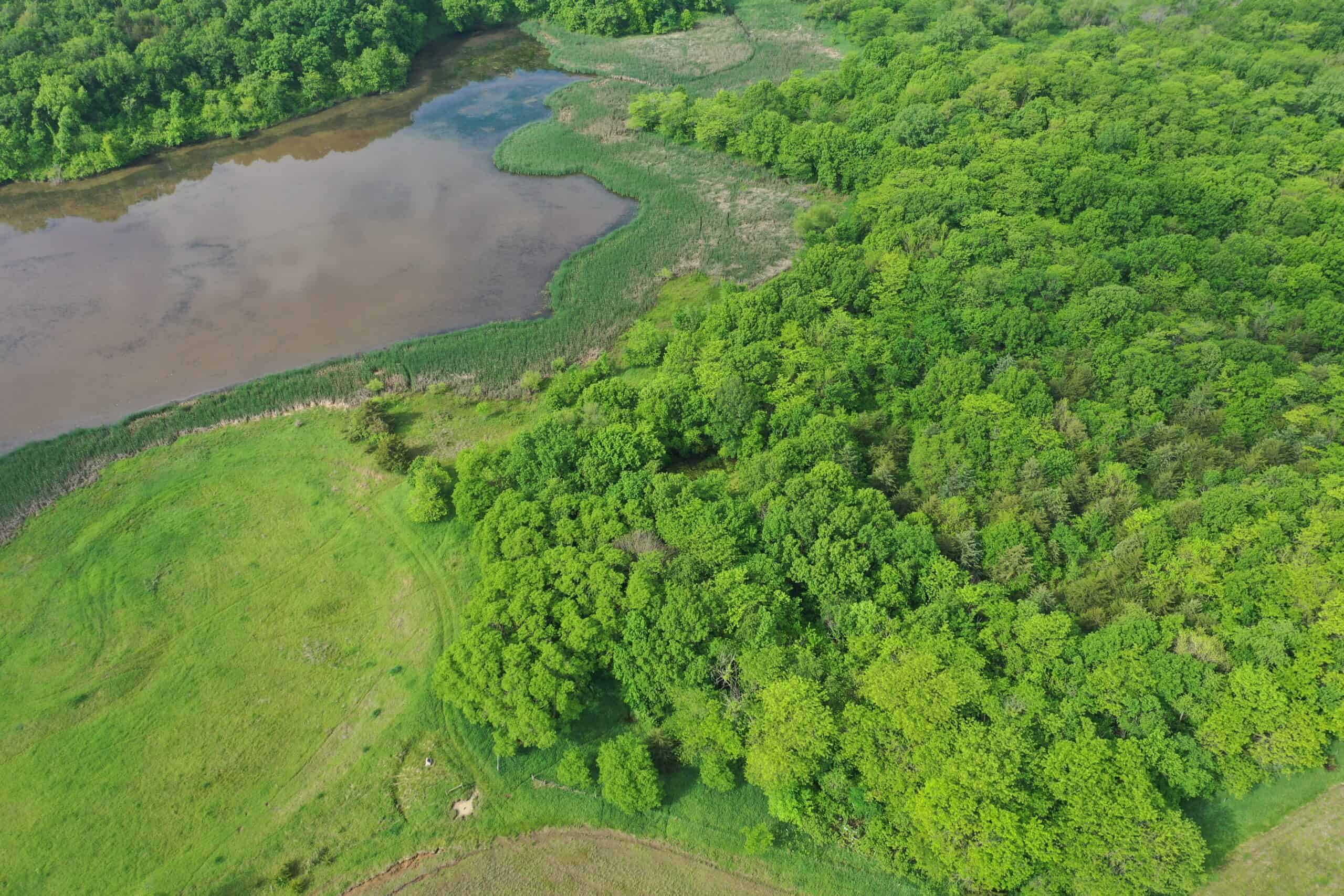 75 Acres m/l with Buildings/ Lake/ Income