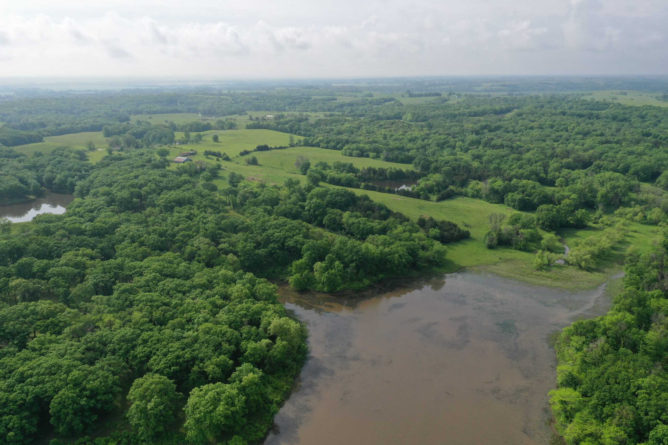 75 Acres m/l with Buildings/ Lake/ Income