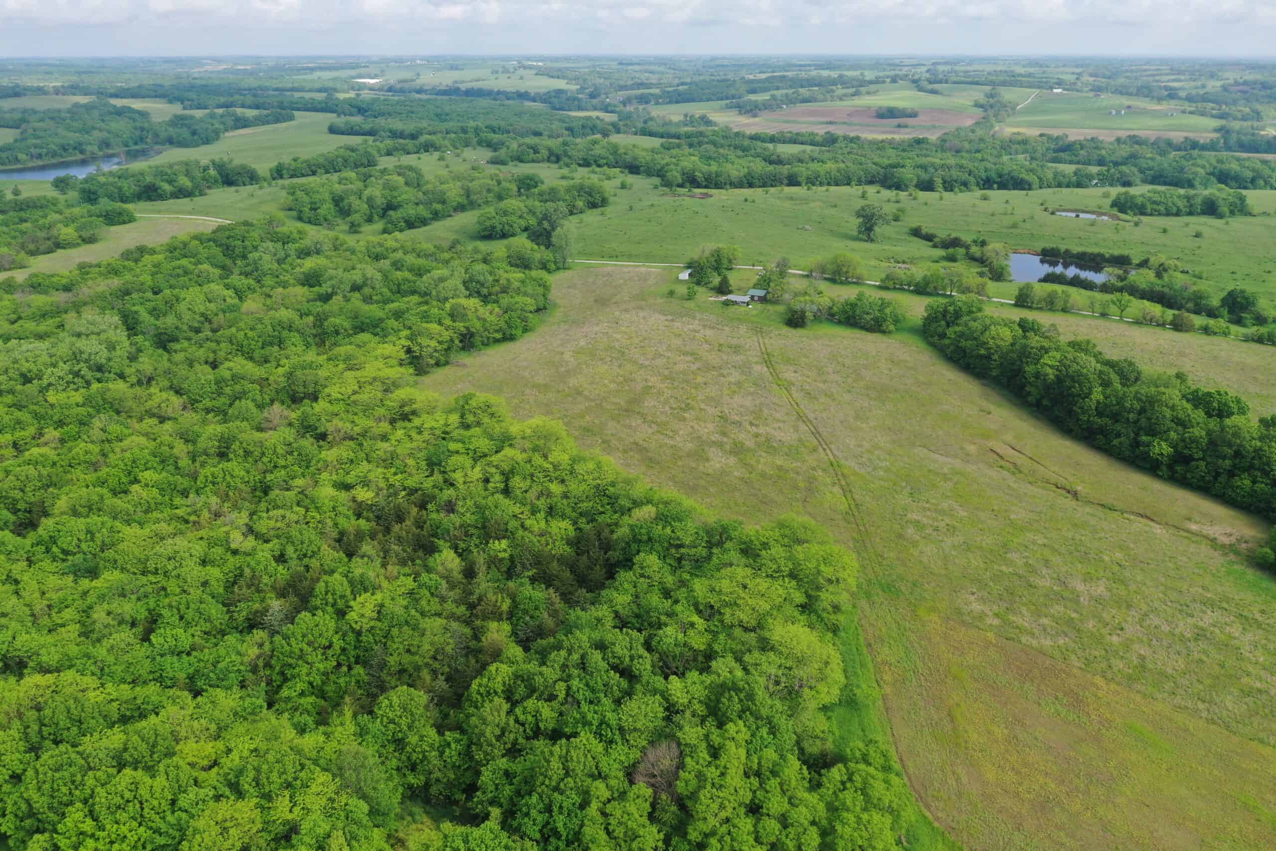 75 Acres m/l with Buildings/ Lake/ Income