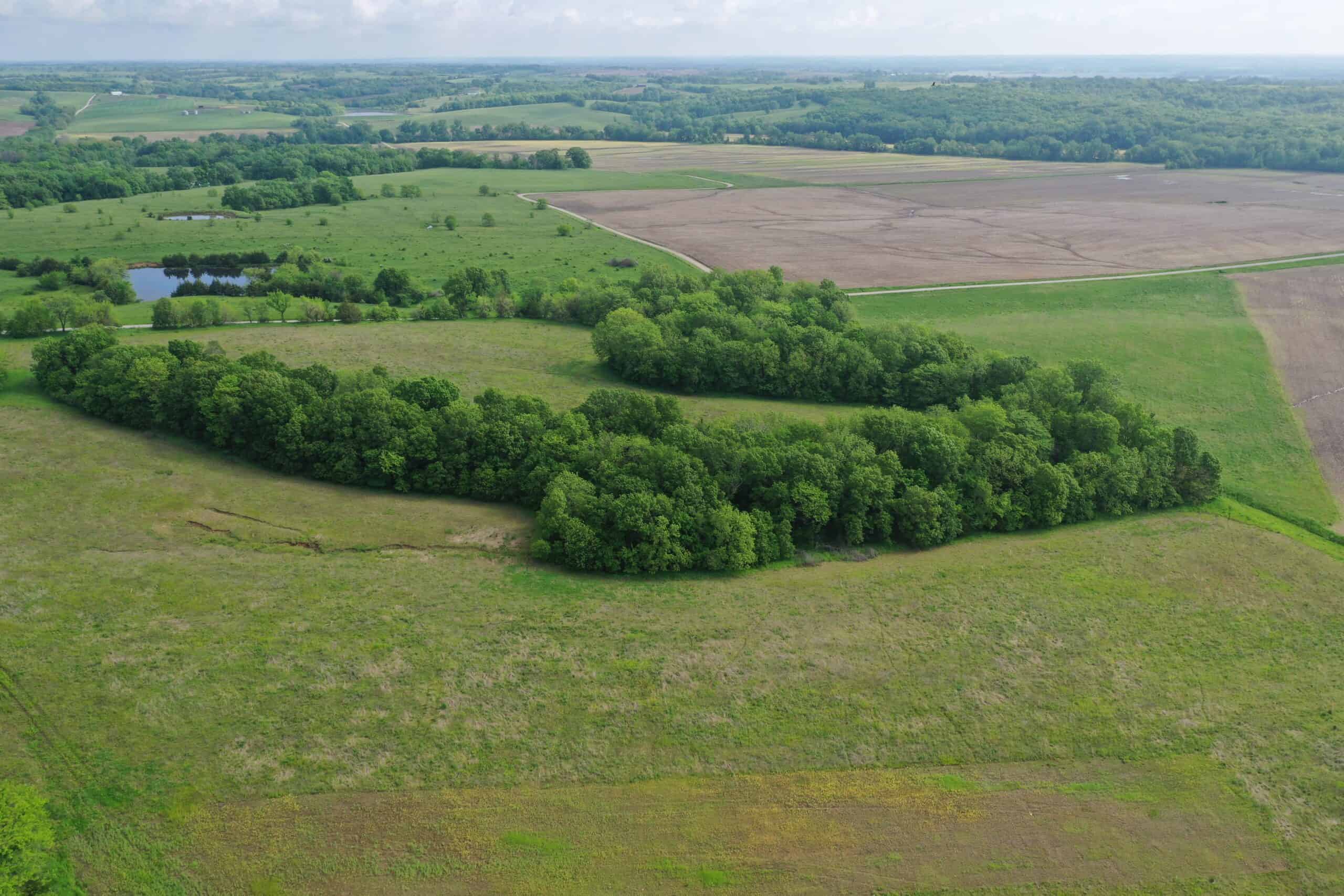 75 Acres m/l with Buildings/ Lake/ Income