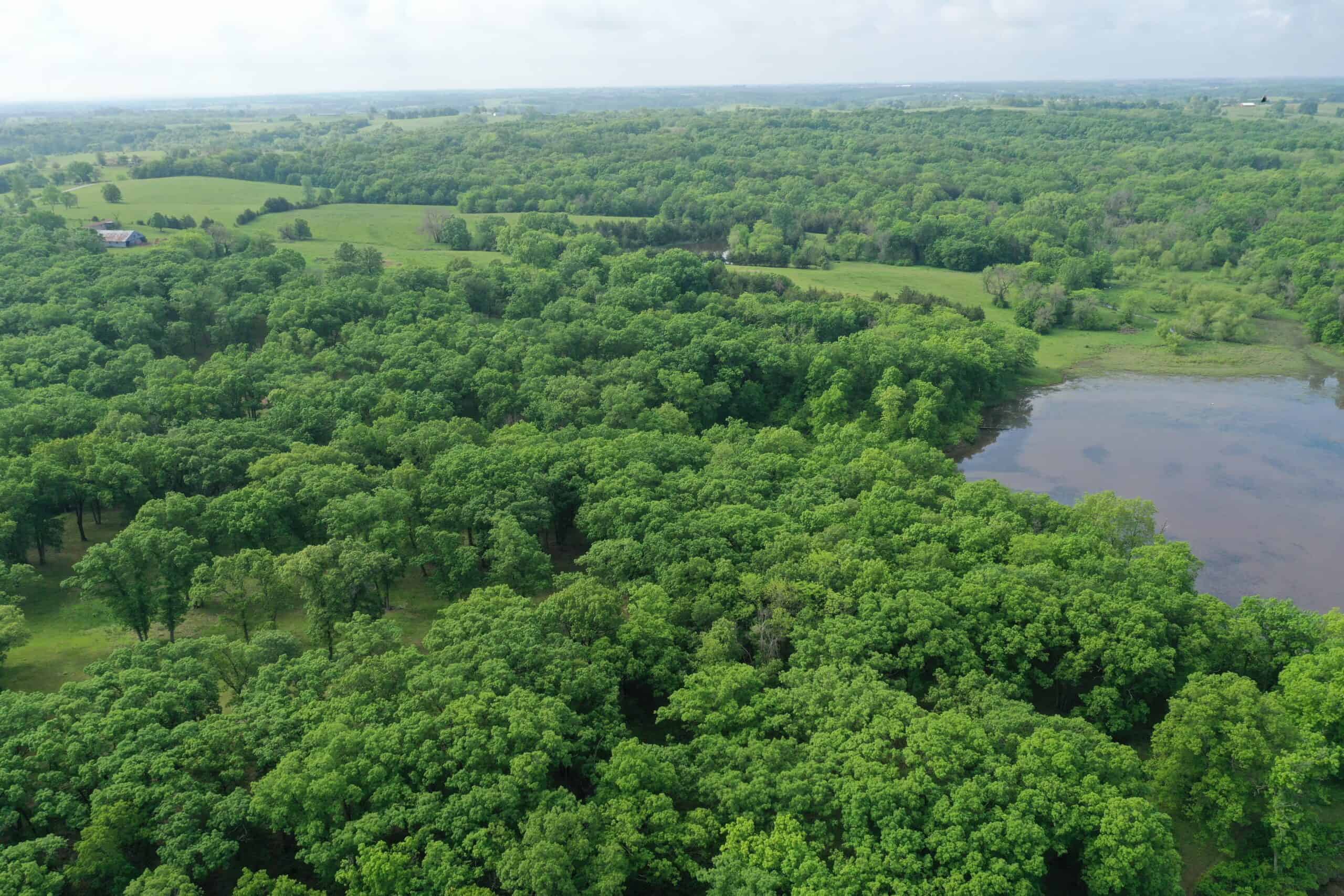 75 Acres m/l with Buildings/ Lake/ Income