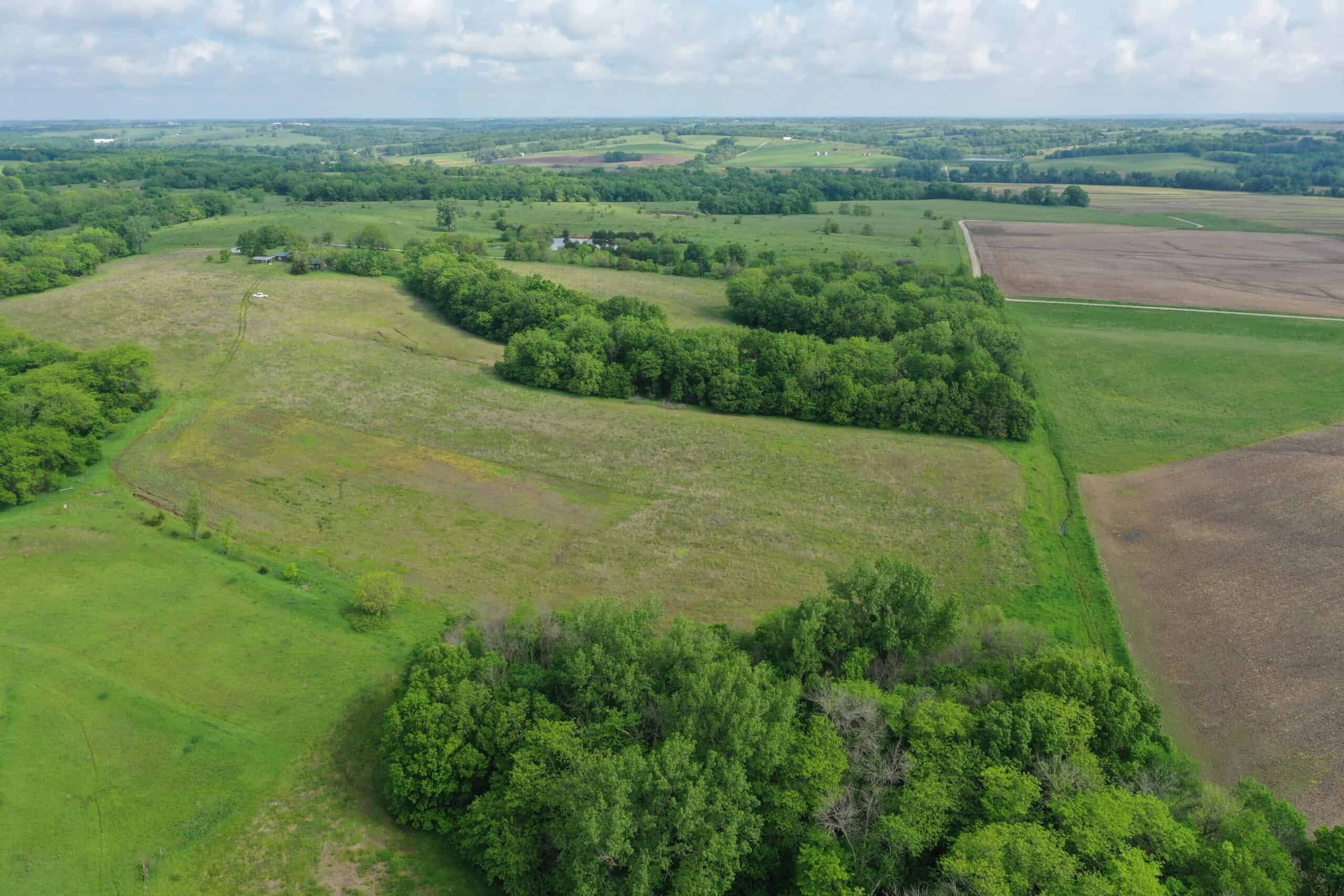 75 Acres m/l with Buildings/ Lake/ Income