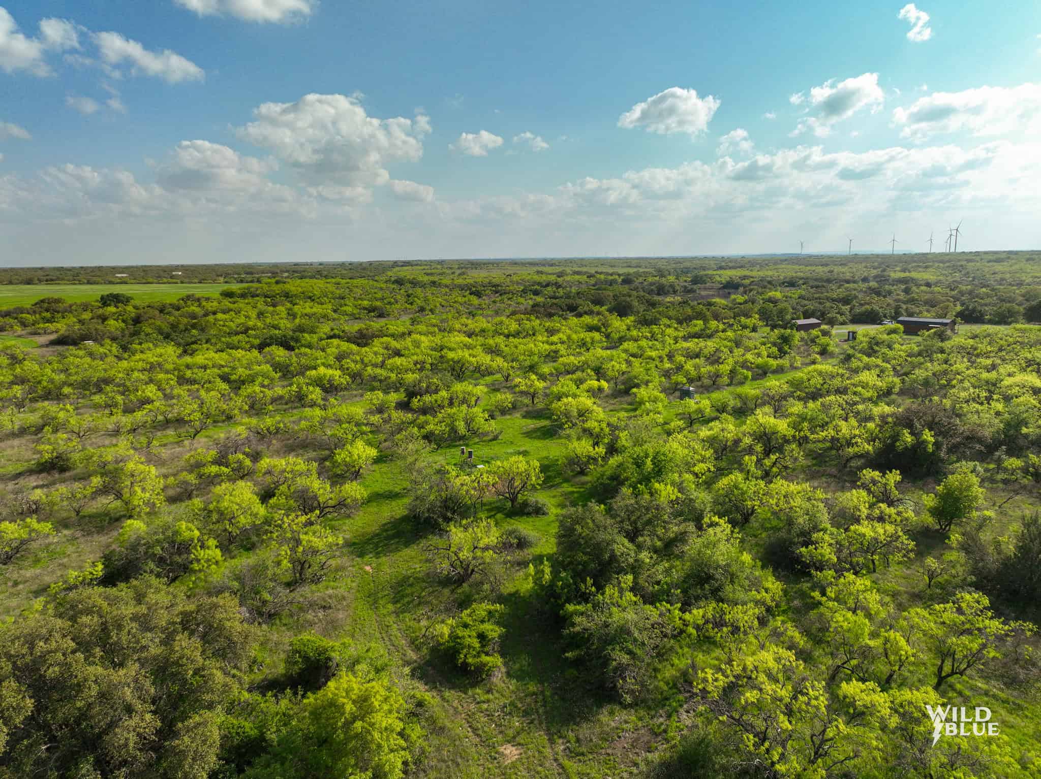 Turn Key Hunting and Recreational Property in Cisco, Texas!