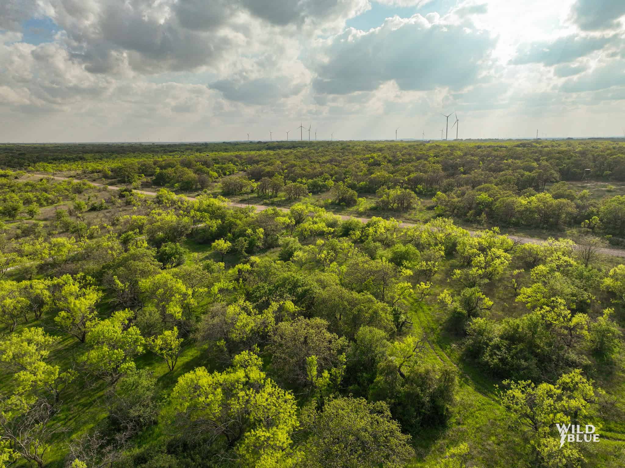 Turn Key Hunting and Recreational Property in Cisco, Texas!