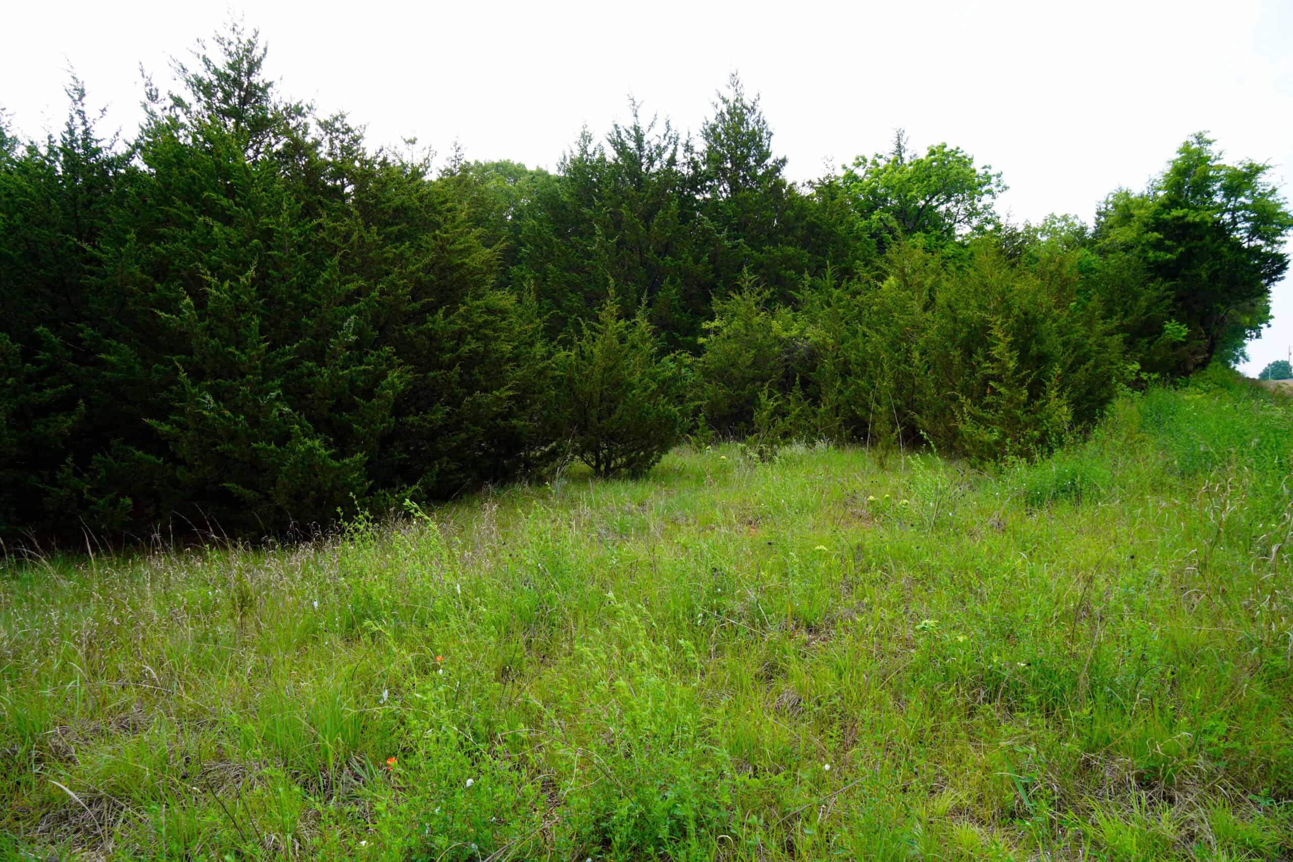 Private Wooded Property Sparks, OK Land For Sale