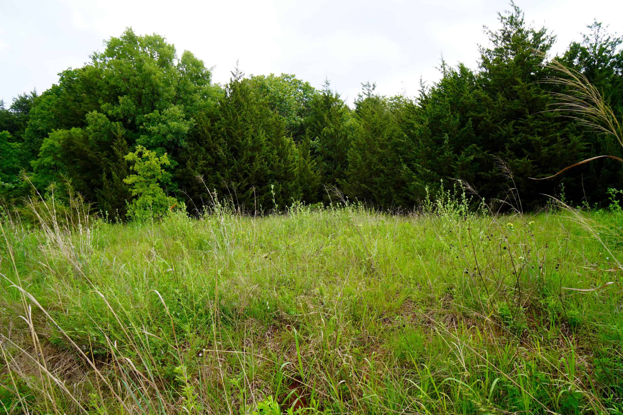 Private Wooded Property Sparks, OK Land For Sale
