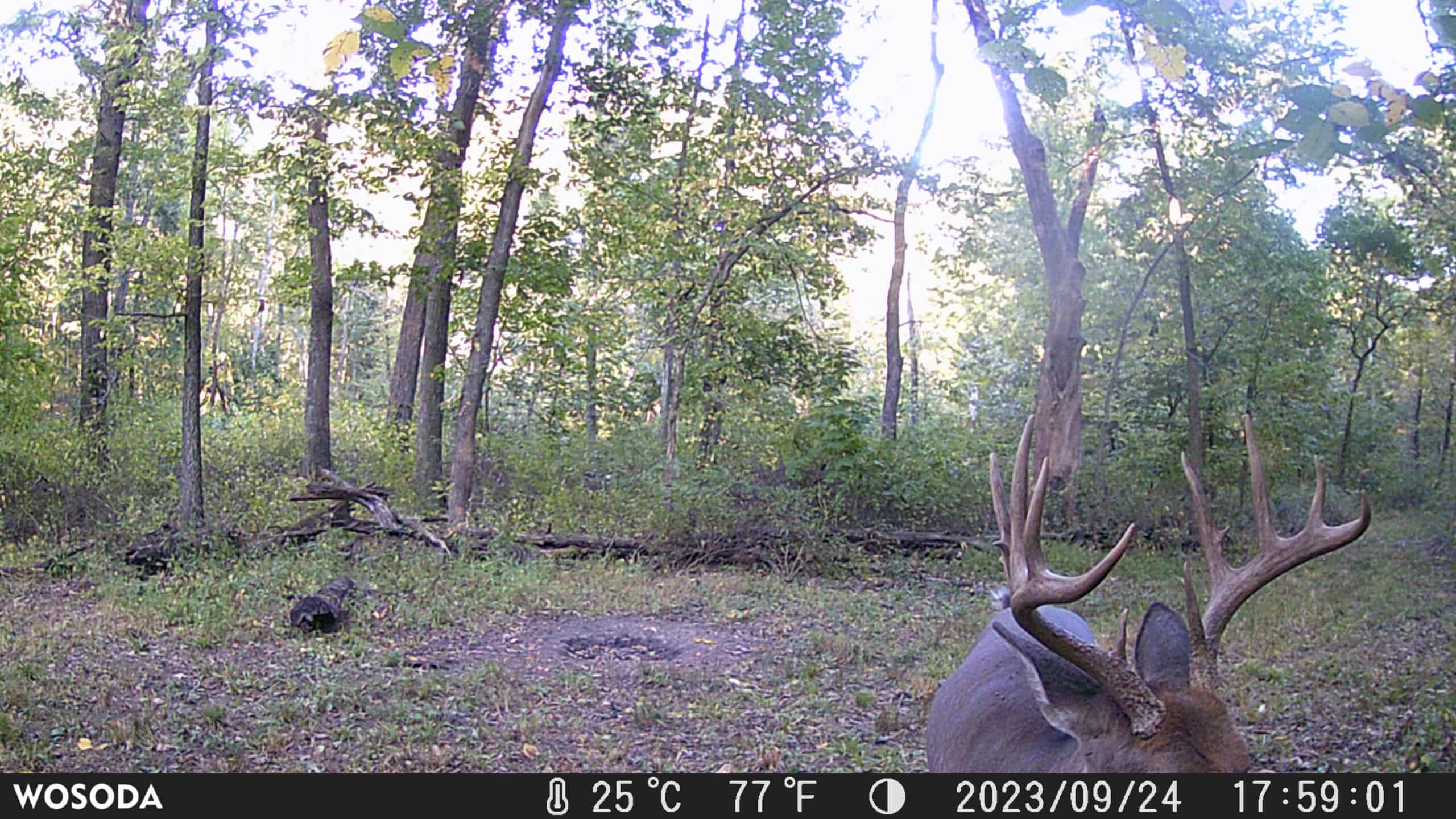 Premier Northern MO Hunting Property FOR SALE