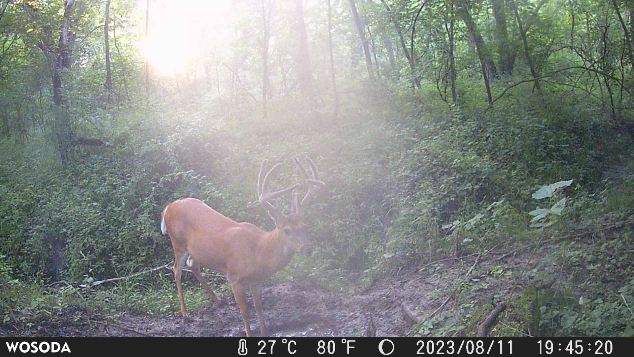 Premier Northern MO Hunting Property FOR SALE