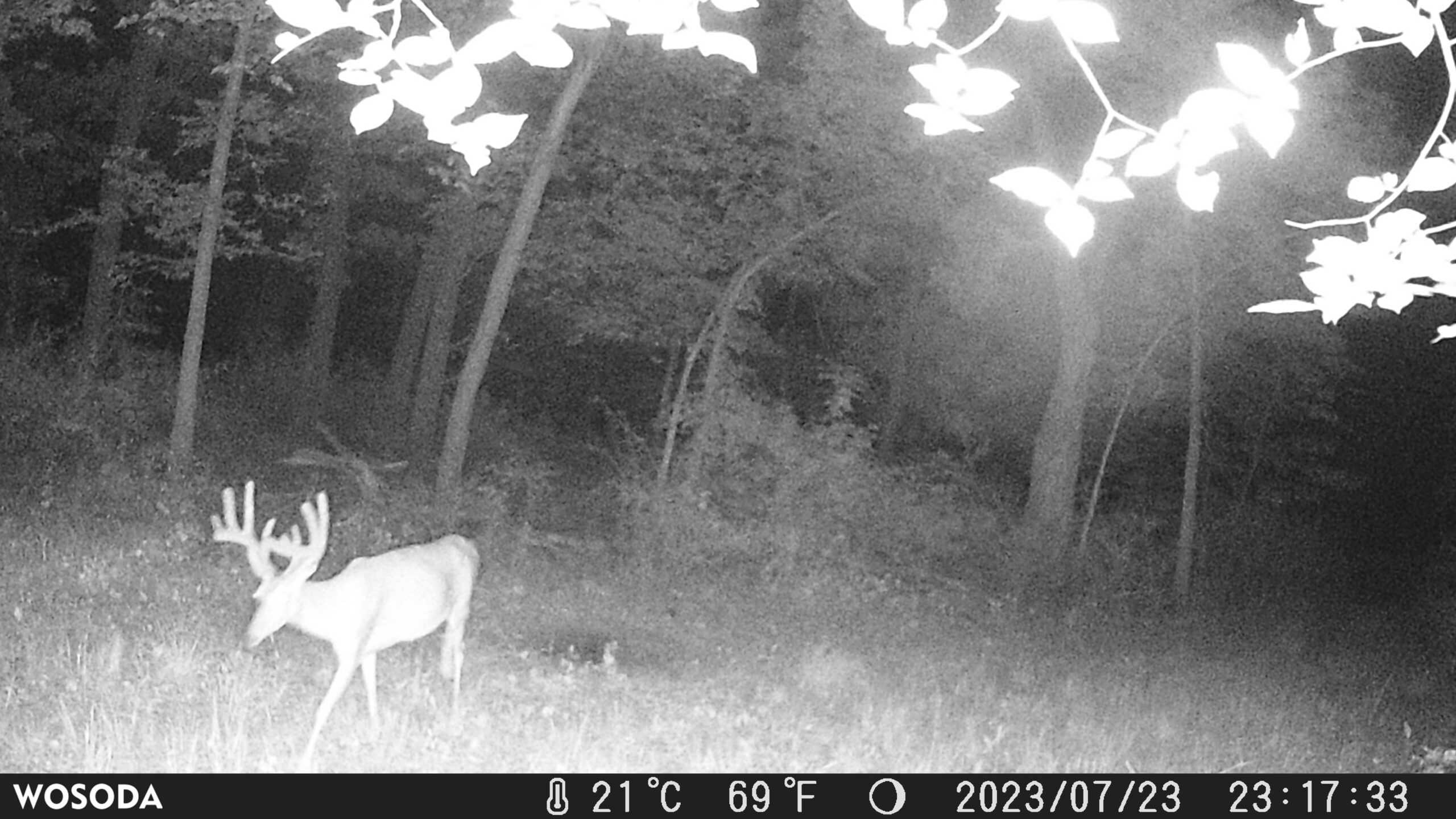 Premier Northern MO Hunting Property FOR SALE