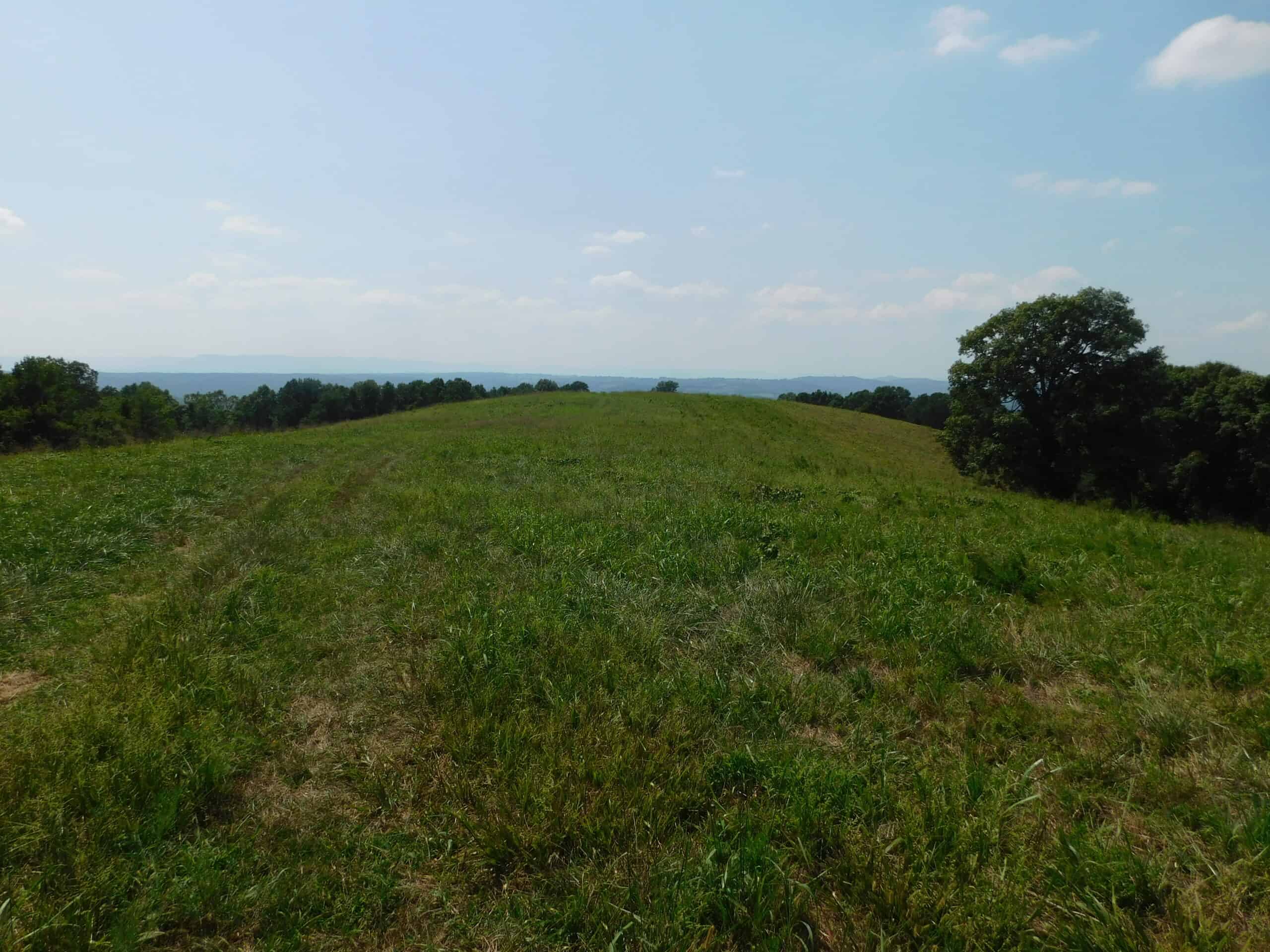 Large Land Acreage With Cabin, Springs & Ponds, Bordering Ar Game & Fish in Newton County, Arkansas