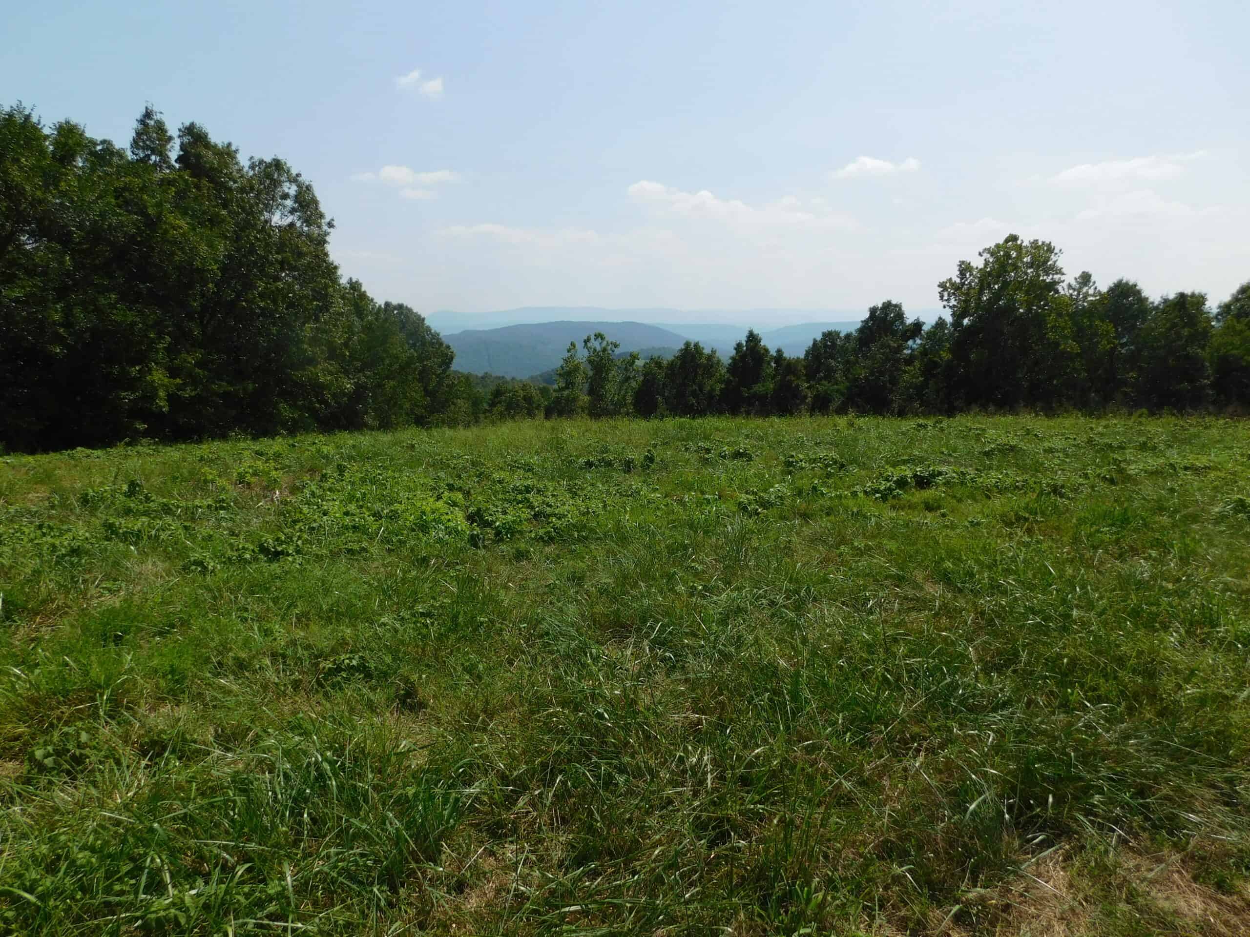 Large Land Acreage With Cabin, Springs & Ponds, Bordering Ar Game & Fish in Newton County, Arkansas