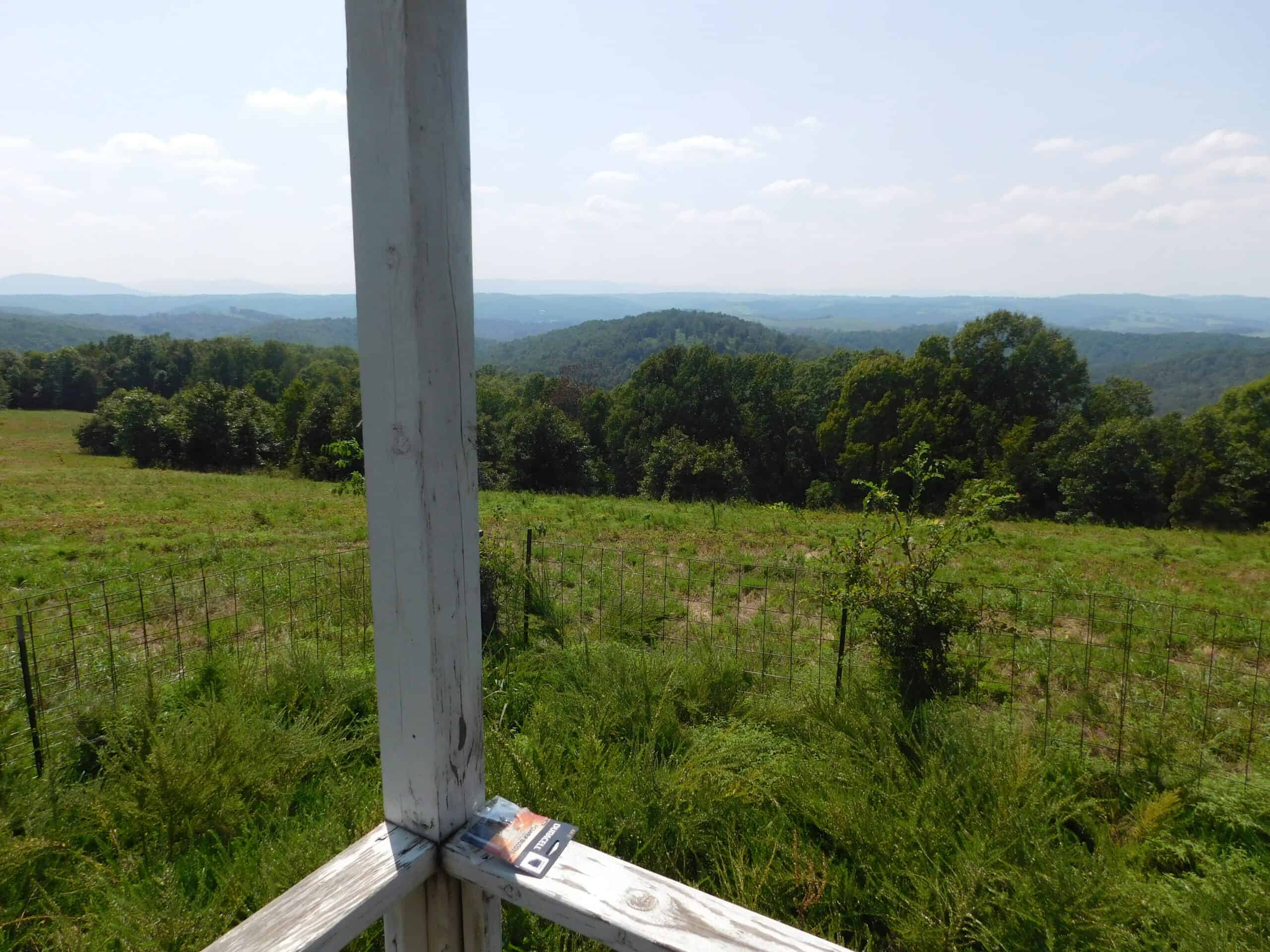 Large Land Acreage With Cabin, Springs & Ponds, Bordering Ar Game & Fish in Newton County, Arkansas