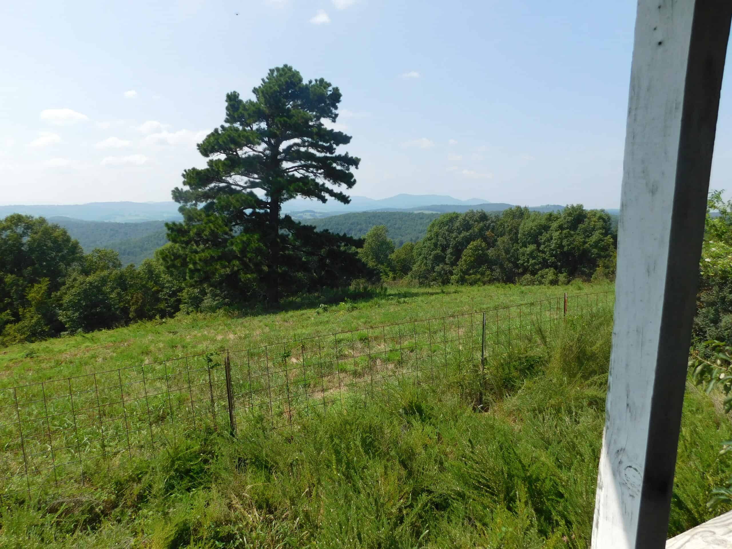 Large Land Acreage With Cabin, Springs & Ponds, Bordering Ar Game & Fish in Newton County, Arkansas