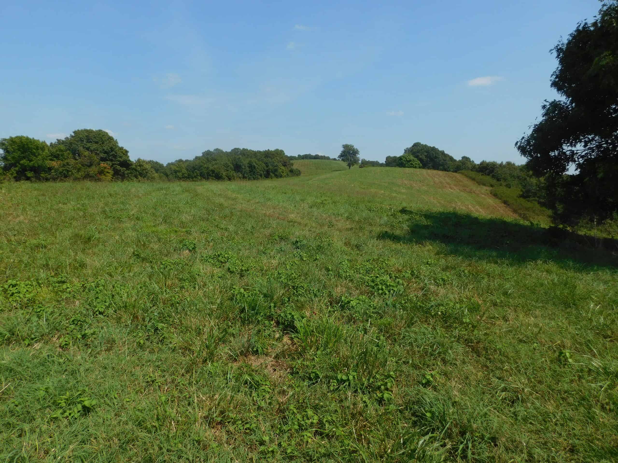 Large Land Acreage With Cabin, Springs & Ponds, Bordering Ar Game & Fish in Newton County, Arkansas