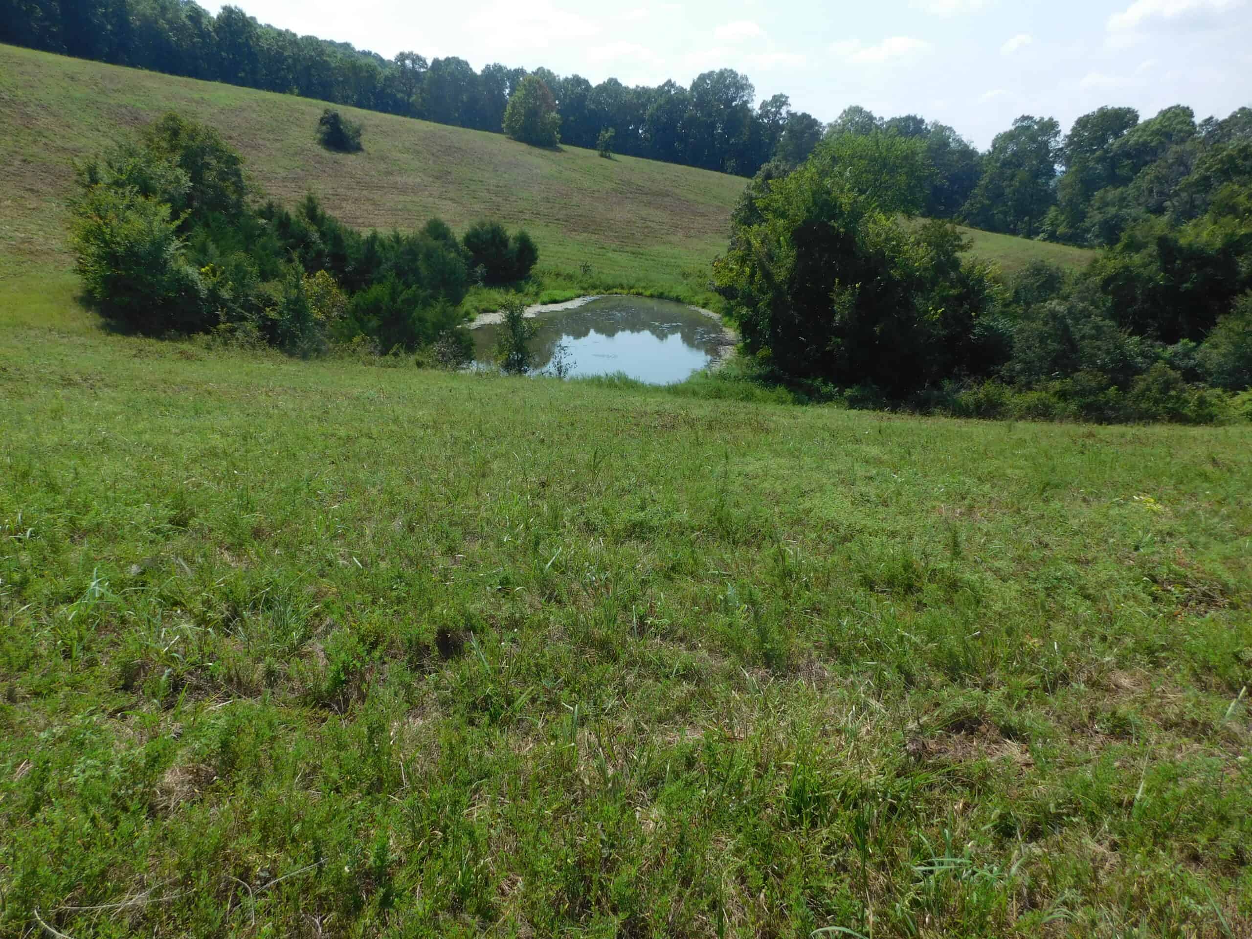 Large Land Acreage With Cabin, Springs & Ponds, Bordering Ar Game & Fish in Newton County, Arkansas