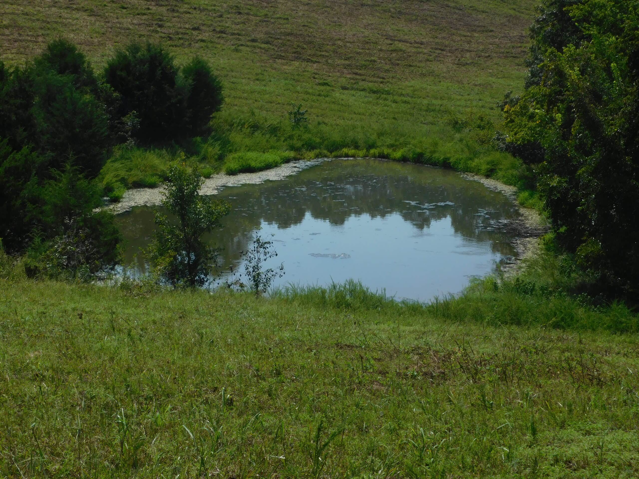 Large Land Acreage With Cabin, Springs & Ponds, Bordering Ar Game & Fish in Newton County, Arkansas