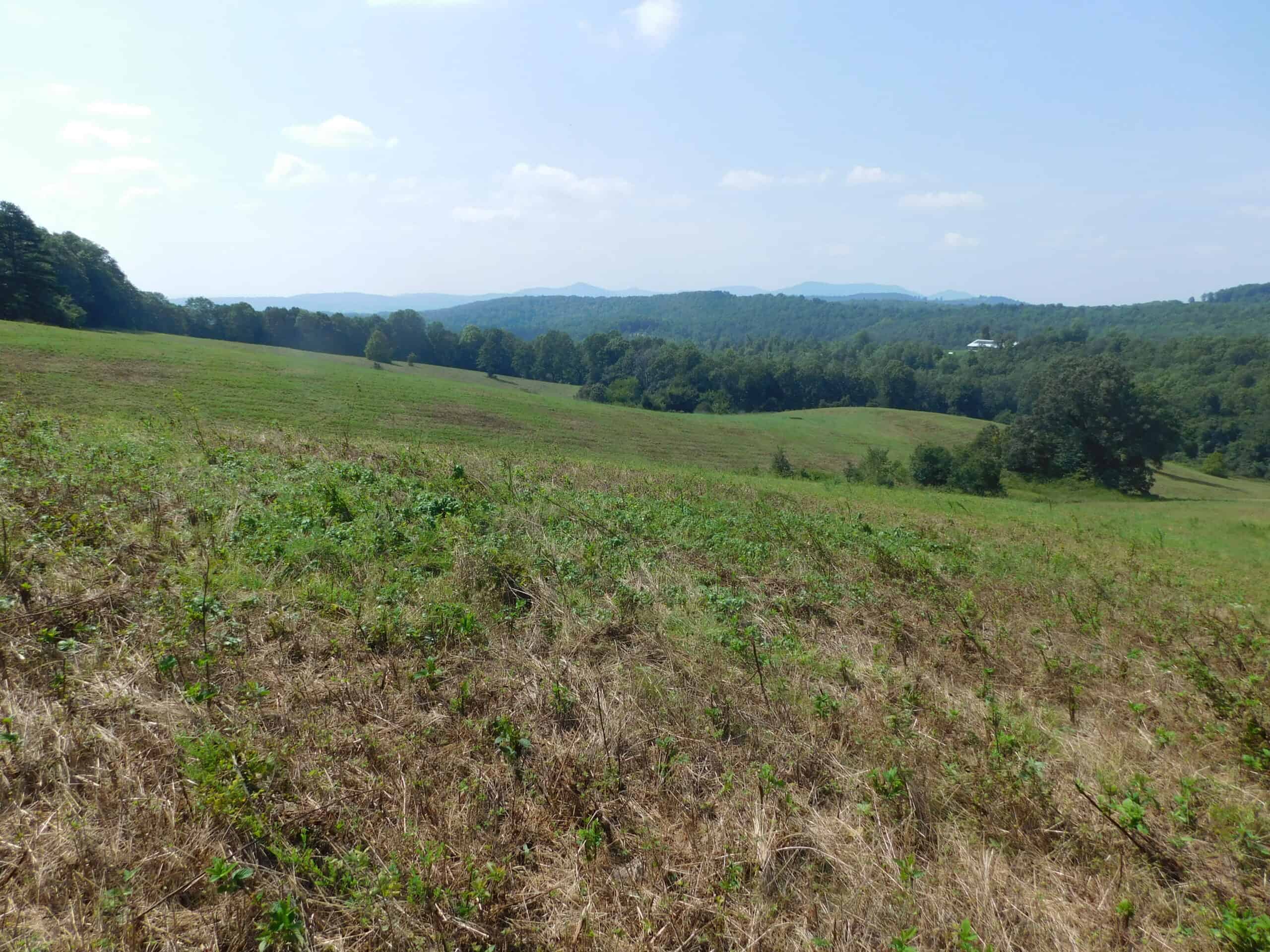 Large Land Acreage With Cabin, Springs & Ponds, Bordering Ar Game & Fish in Newton County, Arkansas