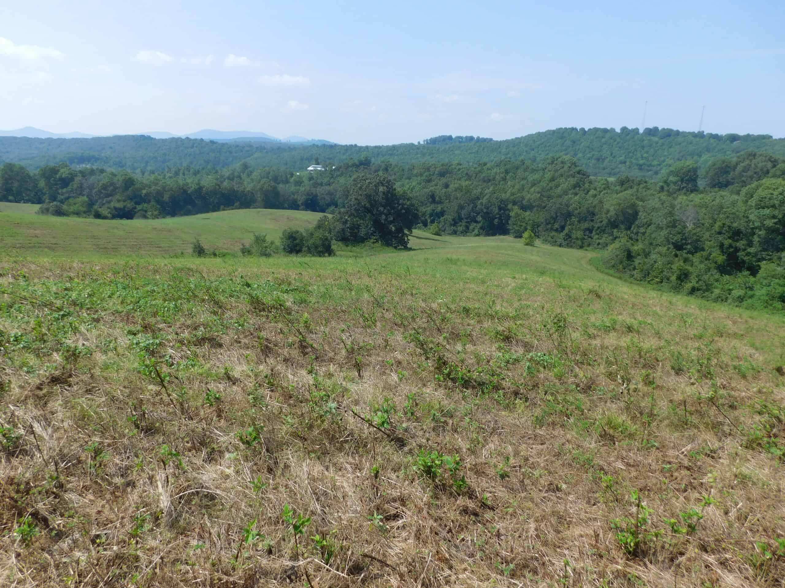 Large Land Acreage With Cabin, Springs & Ponds, Bordering Ar Game & Fish in Newton County, Arkansas