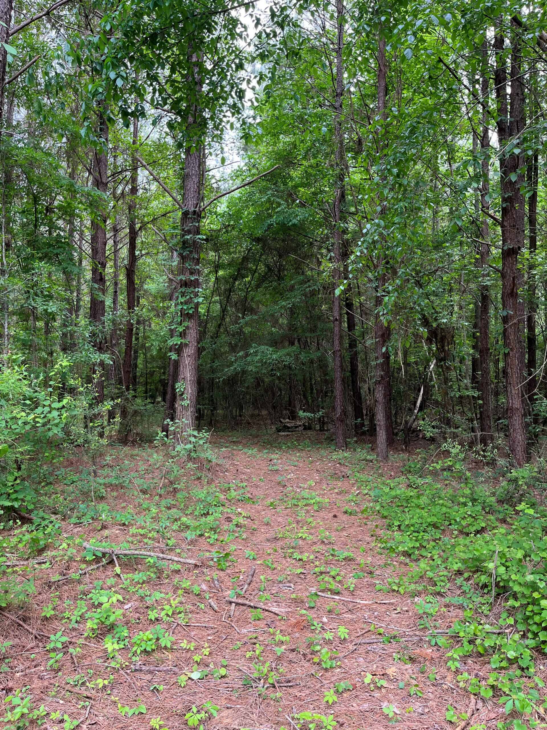 Farmhouse With Land For Sale In Selma, Alabama