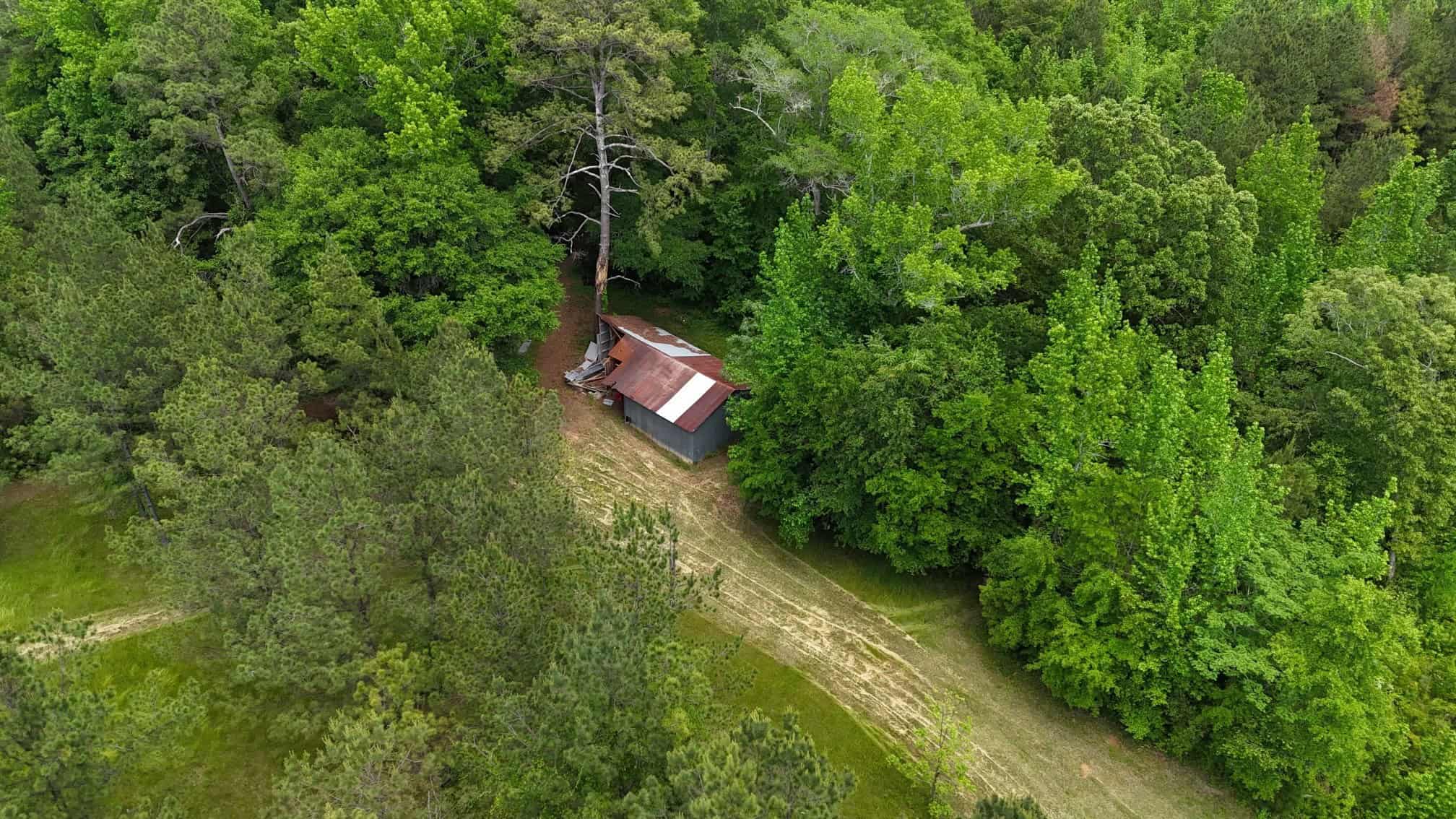 Farmhouse With Land For Sale In Selma, Alabama