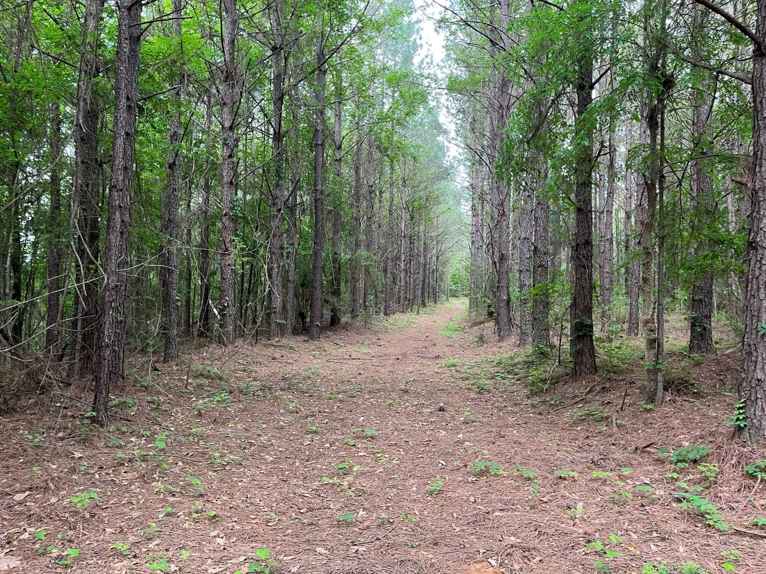 Farmhouse With Land For Sale In Selma, Alabama