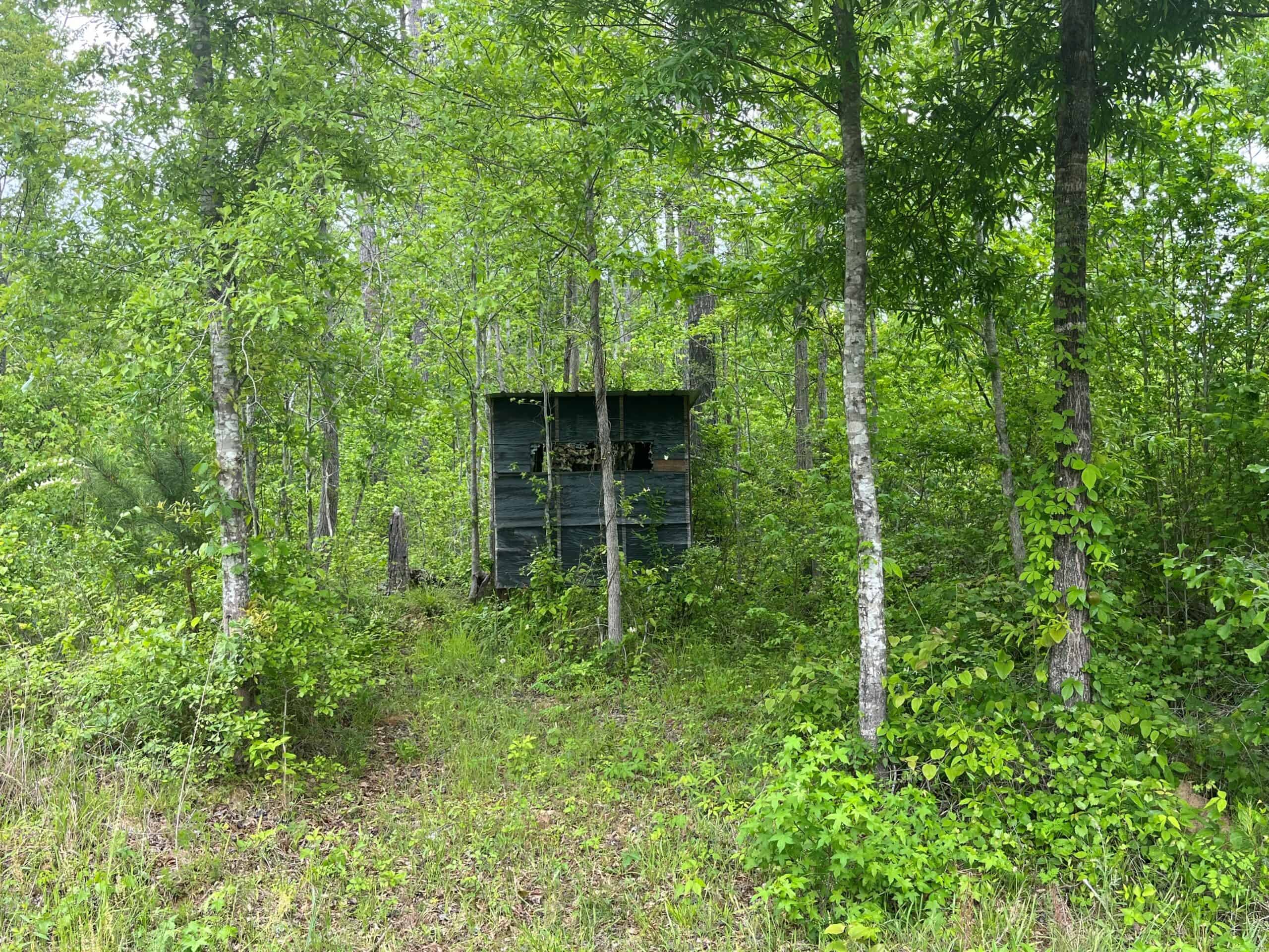 Farmhouse With Land For Sale In Selma, Alabama