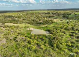 Turn Key Hunting and Recreational Property in Cisco, Texas!