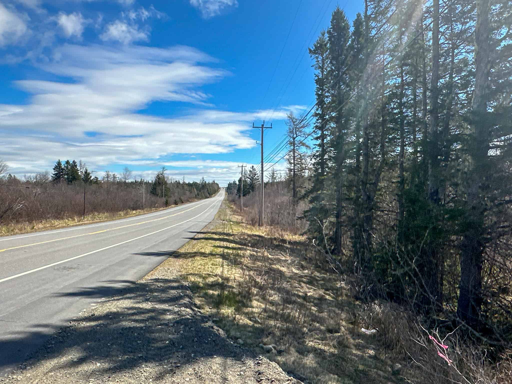 Maine Land For Sale UC Hunting Properties