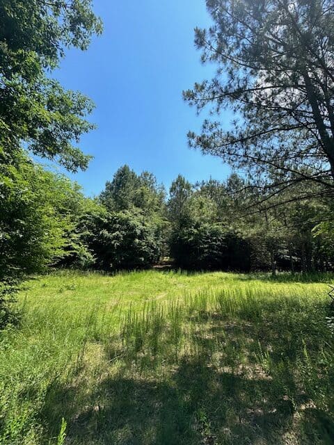 The Shag Bark Tract