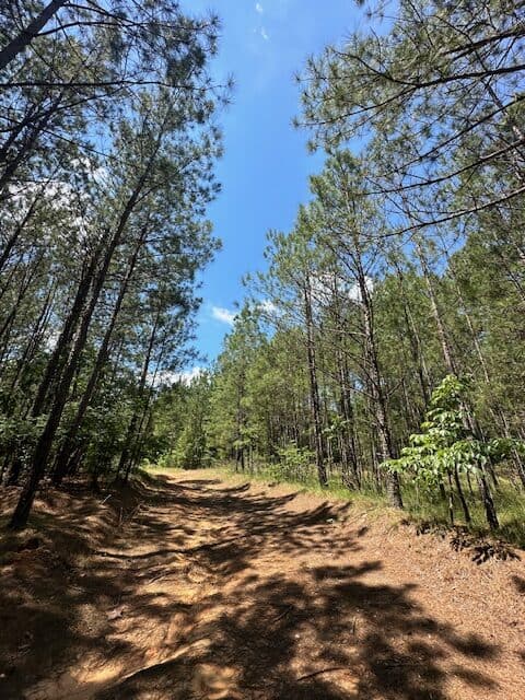 The Shag Bark Tract