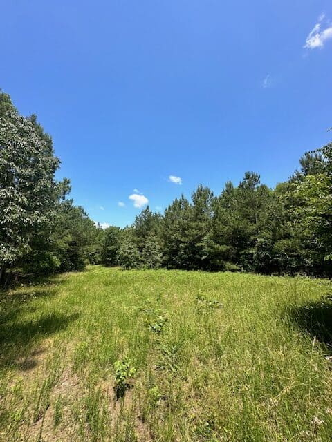 The Shag Bark Tract