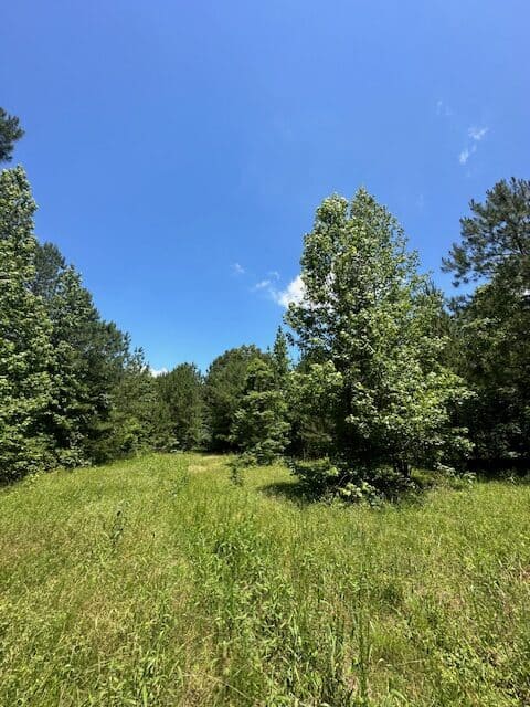 The Shag Bark Tract