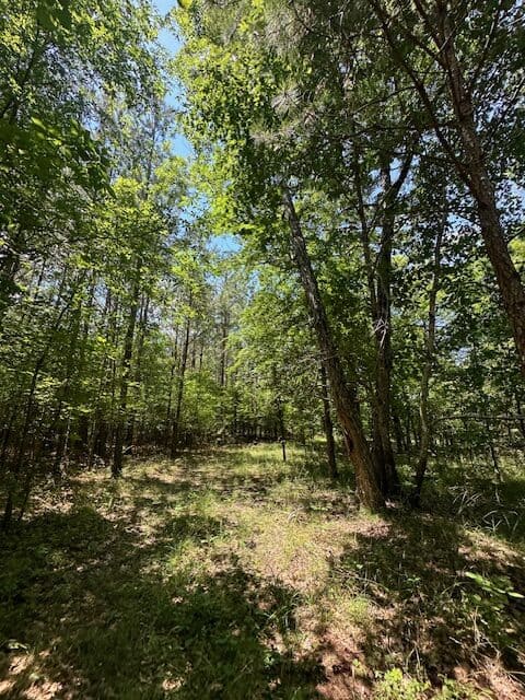 The Shag Bark Tract