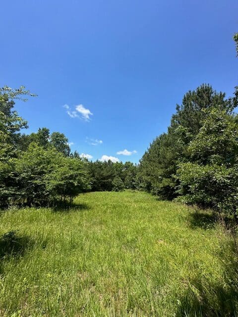 The Shag Bark Tract