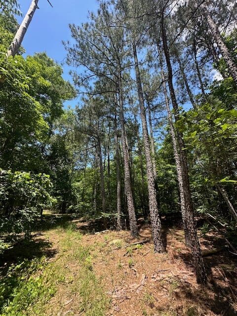 The Shag Bark Tract