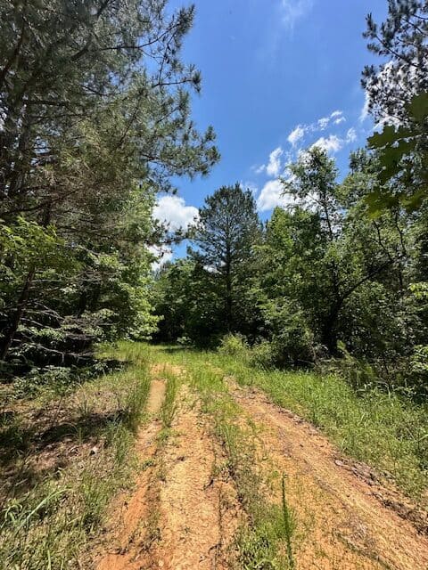 The Shag Bark Tract