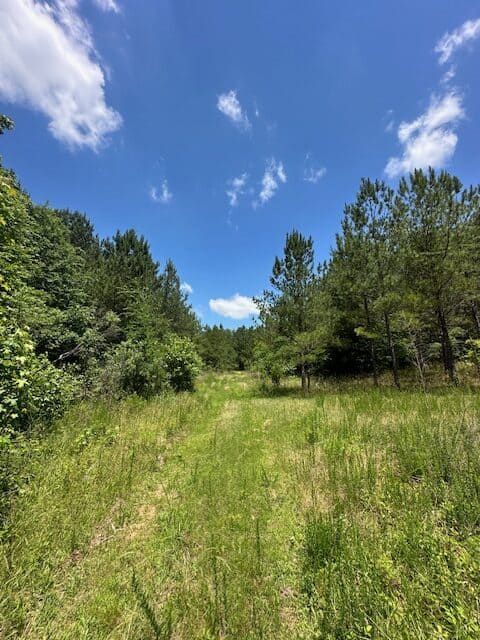 The Shag Bark Tract
