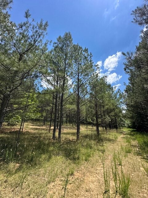 The Shag Bark Tract